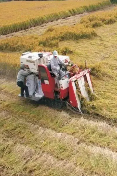 Yanmar Part yanmar combine harvester maikeyier